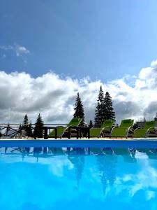 德拉格布拉特Готель Вілла Драгобрат的一个带绿色椅子的游泳池,