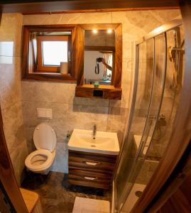 ŠkocjanVinotoč pri Jožici的浴室配有卫生间、盥洗盆和淋浴。