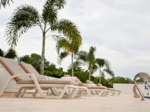 科韦尼亚斯Ciela Hotel & Beach Club的棕榈树泳池里的一排躺椅