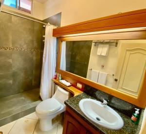 阿约拉港托莱格拉帕格斯精品套房公寓的一间带卫生间、水槽和镜子的浴室