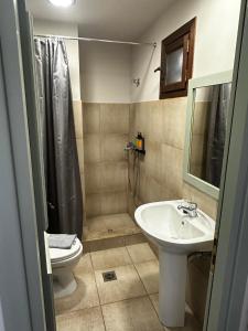 ProusósVia Ferrata Hotel的一间带水槽、卫生间和淋浴的浴室