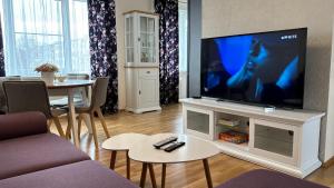 沃鲁Promenaadi Apartment的客厅配有大屏幕平面电视