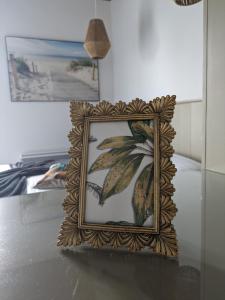 雷岛圣玛丽风中岛酒店的一张桌子上植物的画面