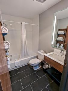 拉皮德城拉皮德城密克罗泰尔旅馆及套房酒店的浴室配有卫生间、盥洗盆和淋浴。