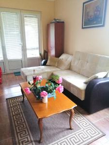 佩鲁恰茨Apartment Dobra vila的客厅配有沙发和鲜花桌