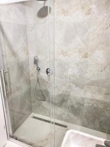地拉那Central Luxe Apartment的浴室里设有玻璃门淋浴