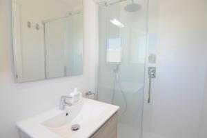 塔拉曼卡Apartamentos Casa Franziska的浴室配有盥洗盆和带镜子的淋浴