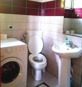 佩鲁恰茨Apartment Dobra vila的浴室配有白色卫生间和盥洗盆。