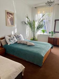 霍伊尼采Magiczny zakątek的一间带两张床的卧室和植物