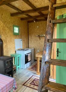 萨拉热窝Cottages of Nišići的客房内的厨房配有炉灶和烤箱