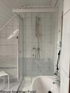久洛Bányai Apartman的带淋浴和盥洗盆的浴室