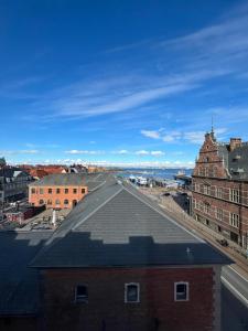 赫尔辛格斯堪地亚酒店的从建筑物屋顶上可欣赏到风景