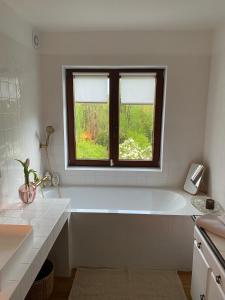 RixensartLa maisonnette du lac de Genval的带窗户的浴室内的白色浴缸