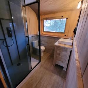 雷讷瑟Heated & brand new Forestlodge的带淋浴、盥洗盆和卫生间的浴室