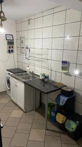 DzierzążnoKaszuby, agroturystyka z alpakami- pokój z łazienką的厨房配有柜台、水槽和洗衣机。