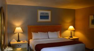 Mexican HatMexican Hat Lodge的酒店客房,配有一张床和两盏灯