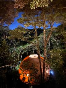 蒙泰韦尔德哥斯达黎加Way To Heaven Glamping的夜晚在树下的一个橙色帐篷