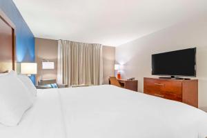 太平洋六旗圣路易斯附近康福特茵酒店的一间酒店客房,配有一张大床和一台平面电视