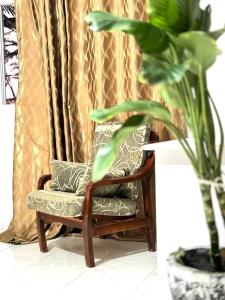 索蒙keur manga的椅子,枕头和室内植物