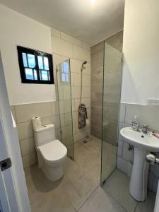 圣多明各Cozy 2 Bedroom Apartment.的浴室配有卫生间、淋浴和盥洗盆。