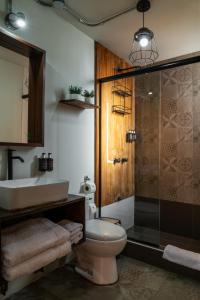 阿雷基帕Selina Arequipa的浴室配有卫生间、盥洗盆和淋浴。