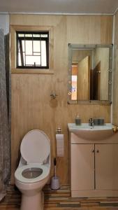 梅利佩乌科Cabaña Mirador del Valle的一间带卫生间、水槽和镜子的浴室