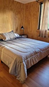 梅利佩乌科Cabaña Mirador del Valle的一间卧室,卧室内配有一张大床