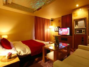 鸟栖市HOTEL Villamure ogori的一间酒店客房,配有一张床和一台电视