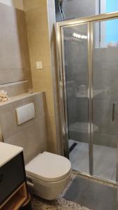 萨格勒布Olive Tree City Apartment的一间带卫生间和淋浴的浴室