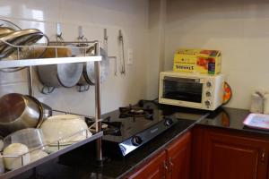 大叻VILLA ROMANCE Lữ Gia的厨房配有炉灶和微波炉。