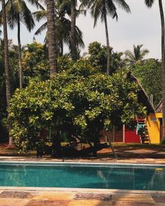 蓬蒂切里Nature Zone Resort的棕榈树游泳池旁的树