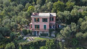波托菲诺B&B Portofino的一座大粉红色的别墅,位于一座树木繁茂的山丘上