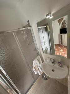 CaninoAura Entis的带淋浴、水槽和镜子的浴室