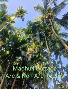 阿里巴格MADHULI COTTAGE的一群棕榈树,上面写着午夜蝴蝶的字样,还有非“大雅”的网络