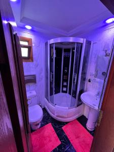 艾德亚耶拉西艾德阿屋索酒店的带淋浴、卫生间和盥洗盆的浴室
