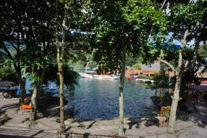 巴拉巴特巴拉巴特潘杜西湖大酒店的一群在水中划船的树