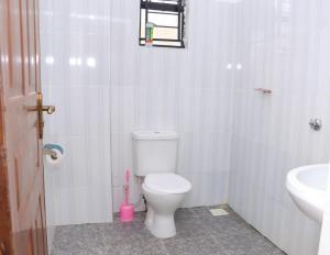 NyahururuLulu Stays 2 Bedroom的一间带卫生间和水槽的浴室