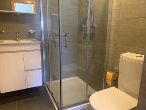 韦松纳Mont Rouge VIEW & CENTER apartments by Alpvision Résidences的带淋浴、卫生间和盥洗盆的浴室