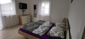 沃尔特湖畔韦尔登Ferienhaus Sole的卧室配有一张床铺,墙上配有电视