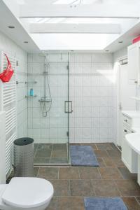 阿尔滕BenB De Dromen van Tuyn的带淋浴、卫生间和盥洗盆的浴室