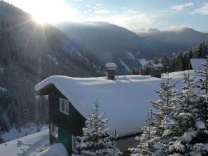 茵聂科里姆斯Beautiful and very luxurious chalet in walking and skiing area Innerkrems的雪覆盖的房屋,有太阳背景