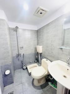 伊斯兰堡Moven Inn Hotel Islamabad的浴室配有卫生间、盥洗盆和淋浴。