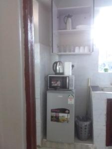 基塔莱Emerald Gardens Airbnb的厨房配有一台小冰箱和一台微波炉