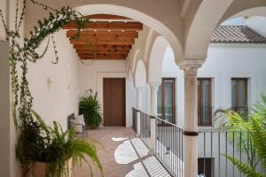 塞维利亚Casa del Rey Sabio的一座室内庭院,里面种有拱门和植物