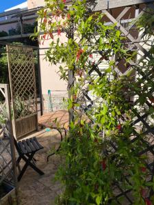 圣温琴佐Villa il Boschetto的院子里的灌木丛,花朵红,长凳