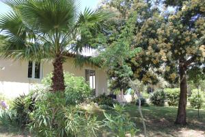 卡尔热斯MARCHESE的两棵棕榈树在房子前面