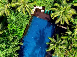 三亚三亚湾海居铂尔曼度假酒店(免税店折扣+水乐园 ）的享有棕榈树游泳池的顶部景致