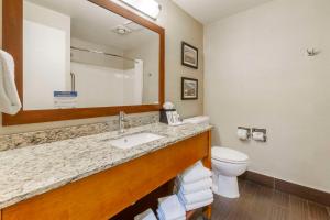 西塔科西泰克康福特茵酒店及套房的一间带水槽、卫生间和镜子的浴室