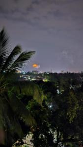 德里久尔LMR Stays and Holidays的棕榈树之夜城市景观