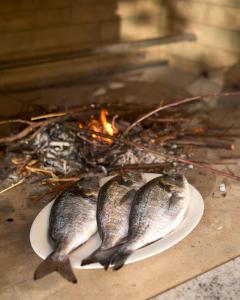 斯普利特Villa Žnjan的火旁盘子里的两只鱼